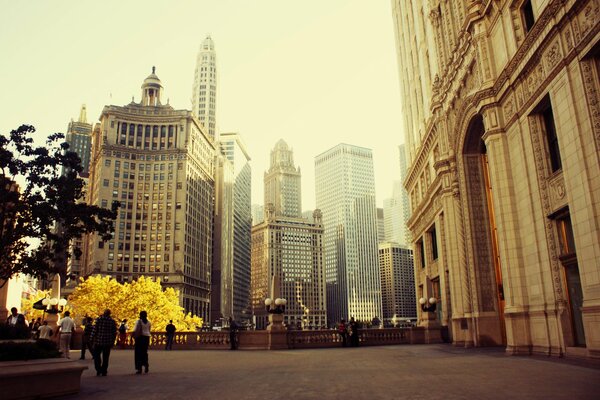 Frühlings-Wolkenkratzer der Stadt Chicago