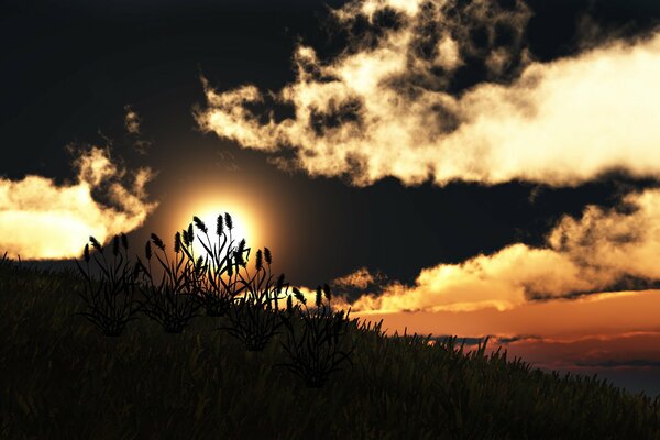 Gras auf gelbem Sonnenuntergang Hintergrund