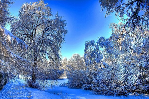 Winter park with a well-trodden path