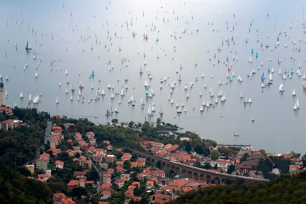 Es war in der Barcolana 2014 Italien triest Spaß