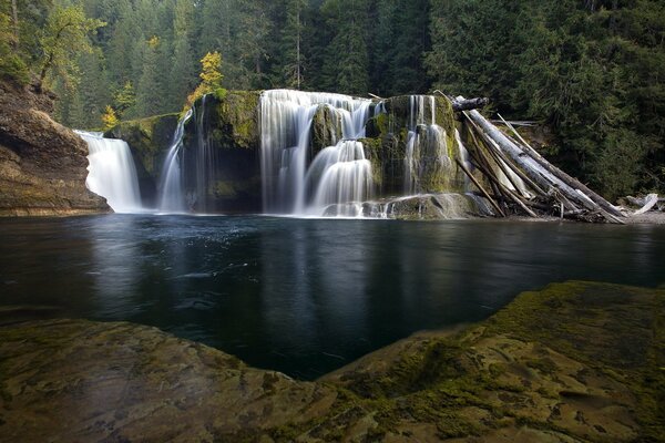 Waterfall surrounded by dark green forest and river, landscape