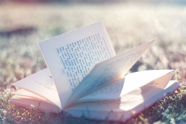 Sunlight on an open book