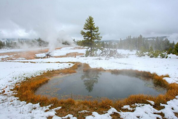 Pequeño lago rodeado de hierba roja y nieve, pinos