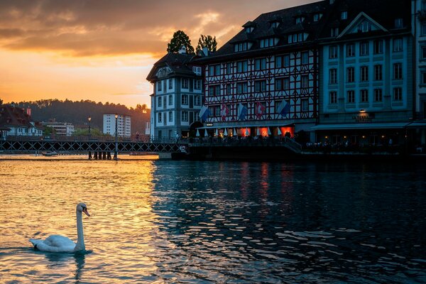 A house in Switzerland in the swan water