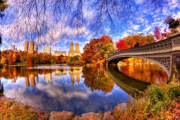 Autunno luminoso in un parco sullo sfondo di una città e uno stagno con un ponte