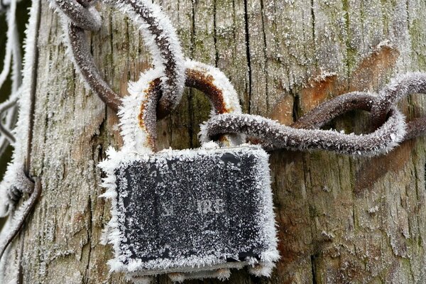 Verschlossenes Schloss im Frost auf einem schönen Baum