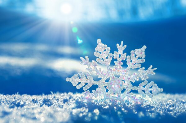 Winter morning, a shimmering snowflake in the snow