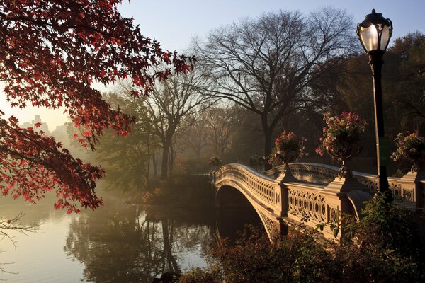 New York central Park paysage