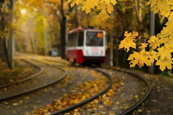 The Moscow tram left for autumn