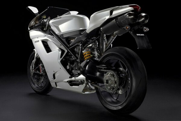 Title ducati Superbike von 1198