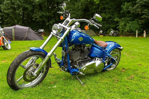 Chodzący Harley z wysoką chromowaną kierownicą do cichych przejażdżek po leśnych polanach