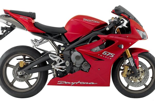 Red as a tomato Triumph Daytona bike on a white background