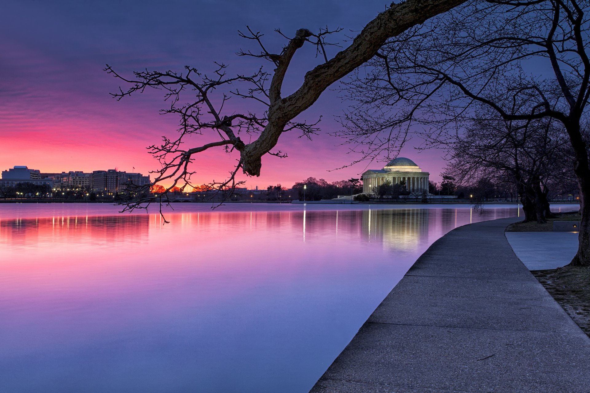 stati uniti washington sera alberi parco fiume lanterne blu viola cielo tramonto luce illuminazione blu viola