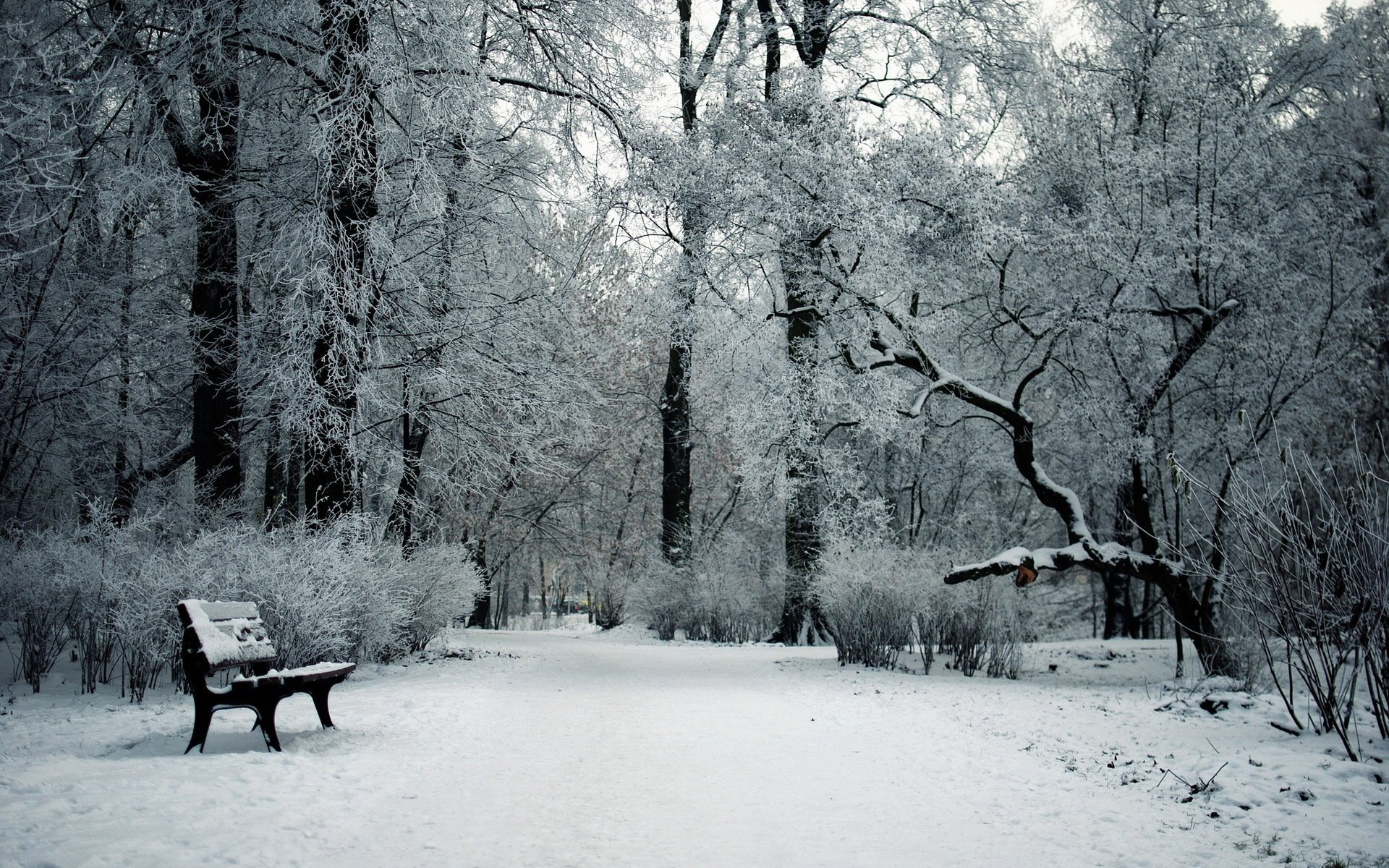 neige banc parc hiver