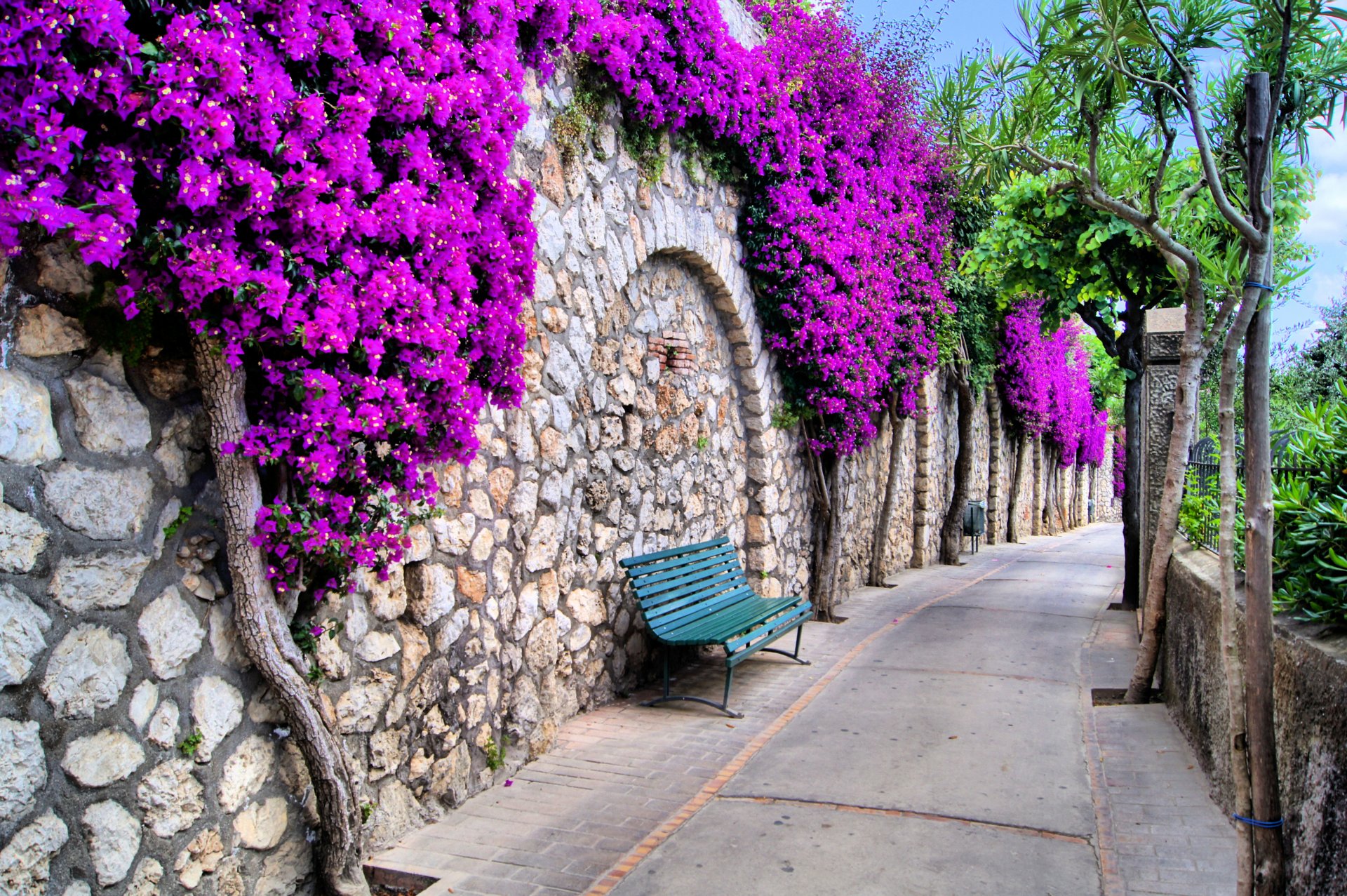 ciudad italia calles árboles flores banco hermoso italia bancos