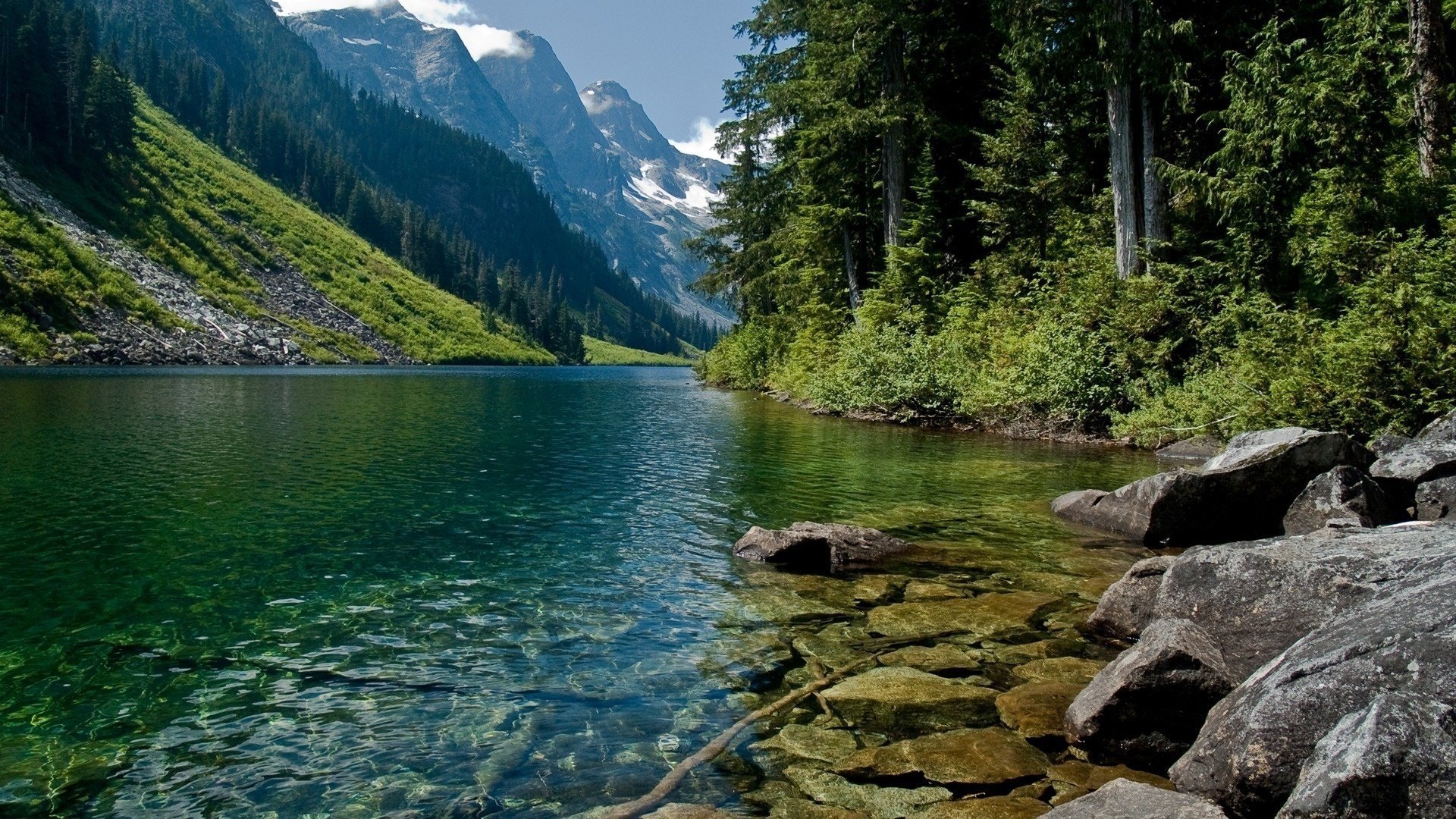 pierres montagnes rivière forêt