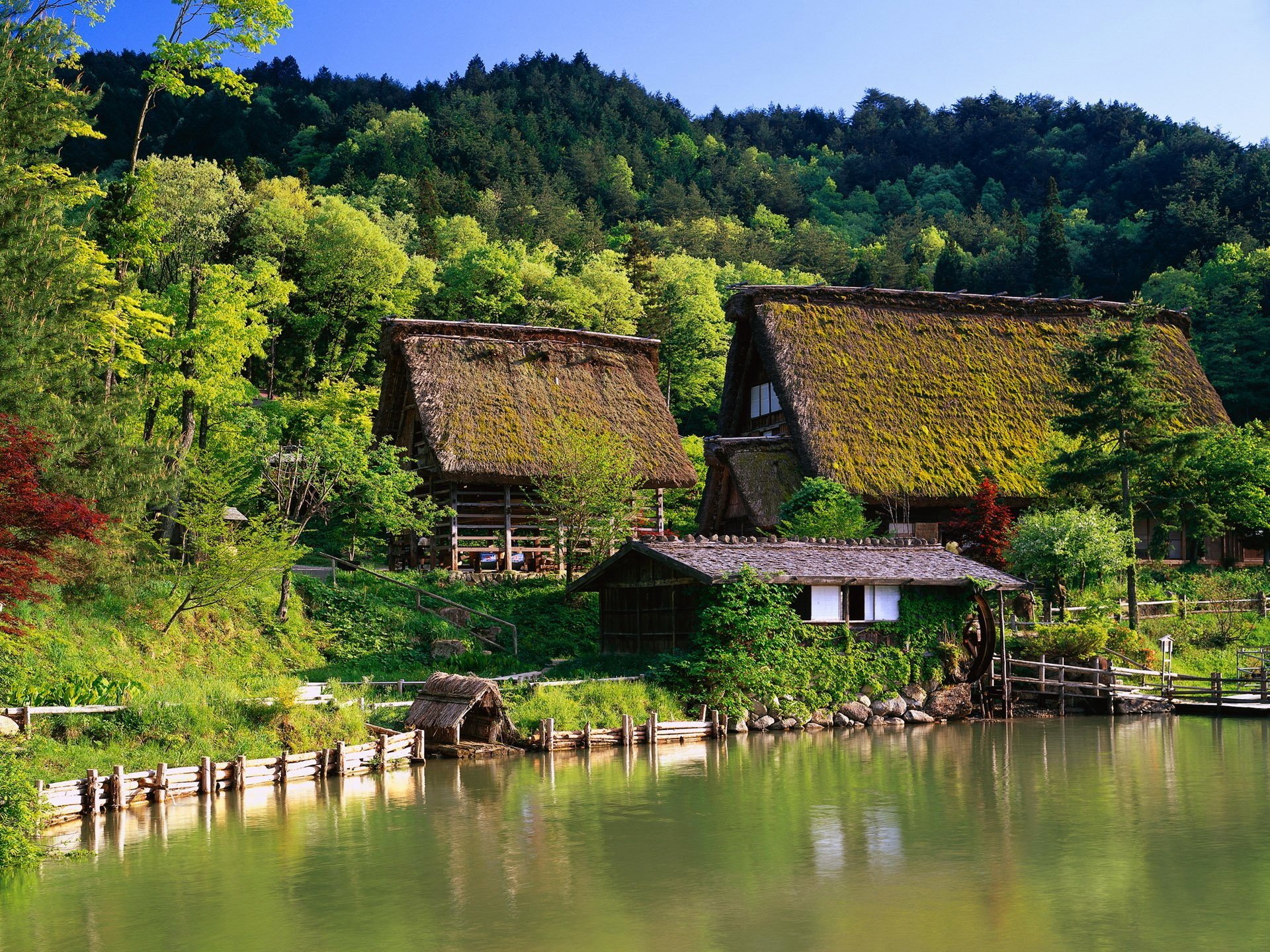 cité japon maison ferme maison gazebo forêt bouleau eau