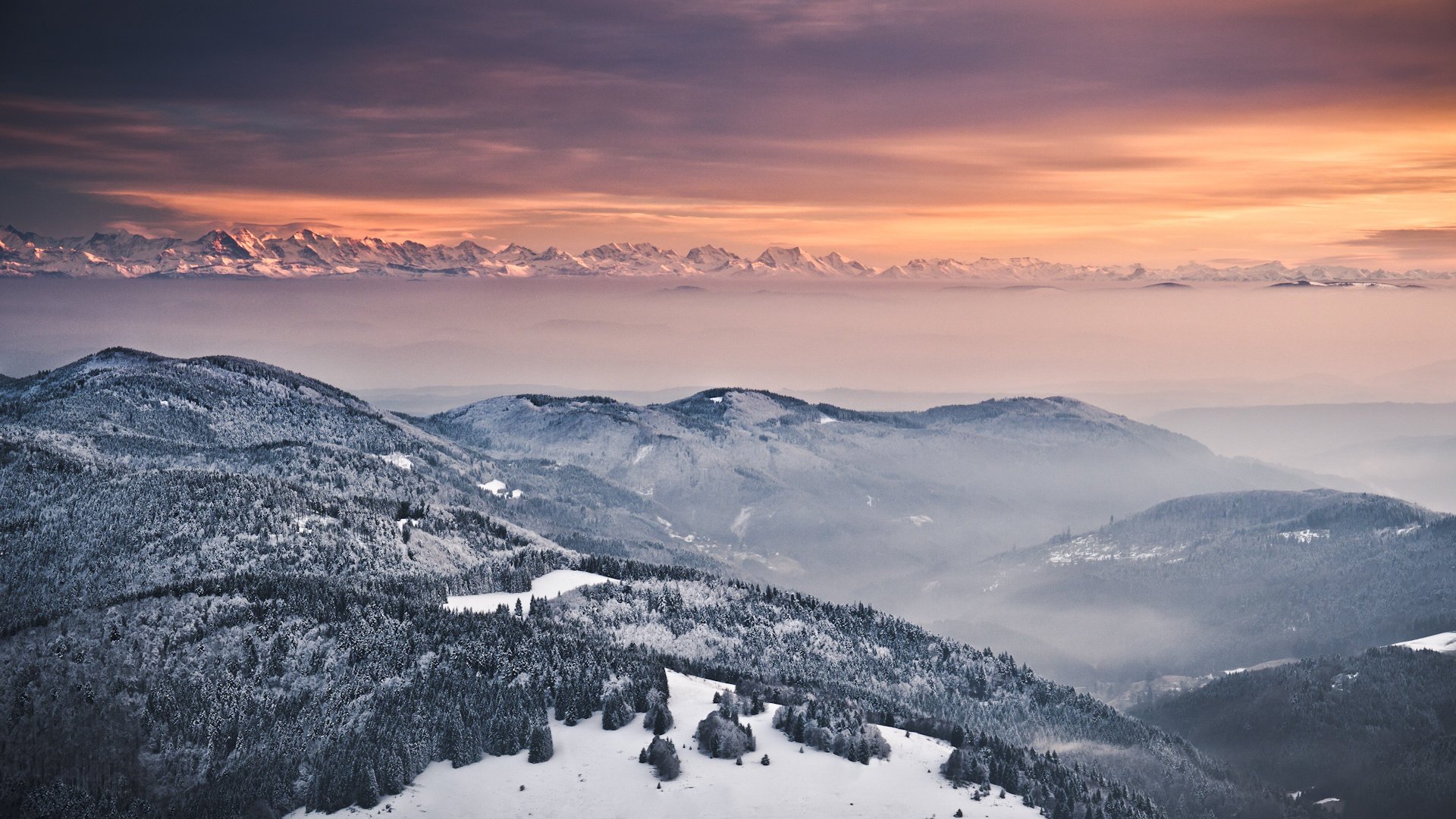 winter trees the evening alps fog snow mountains hill