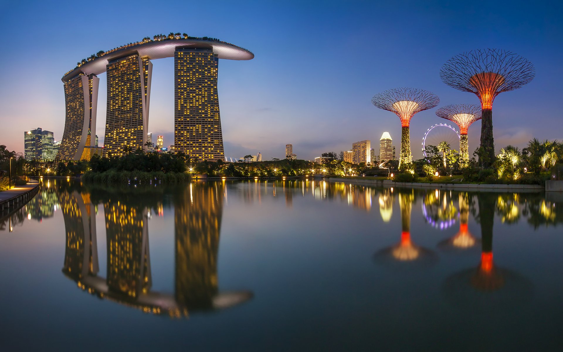 ingapore town buildings night sea reflection lights ferris wheel