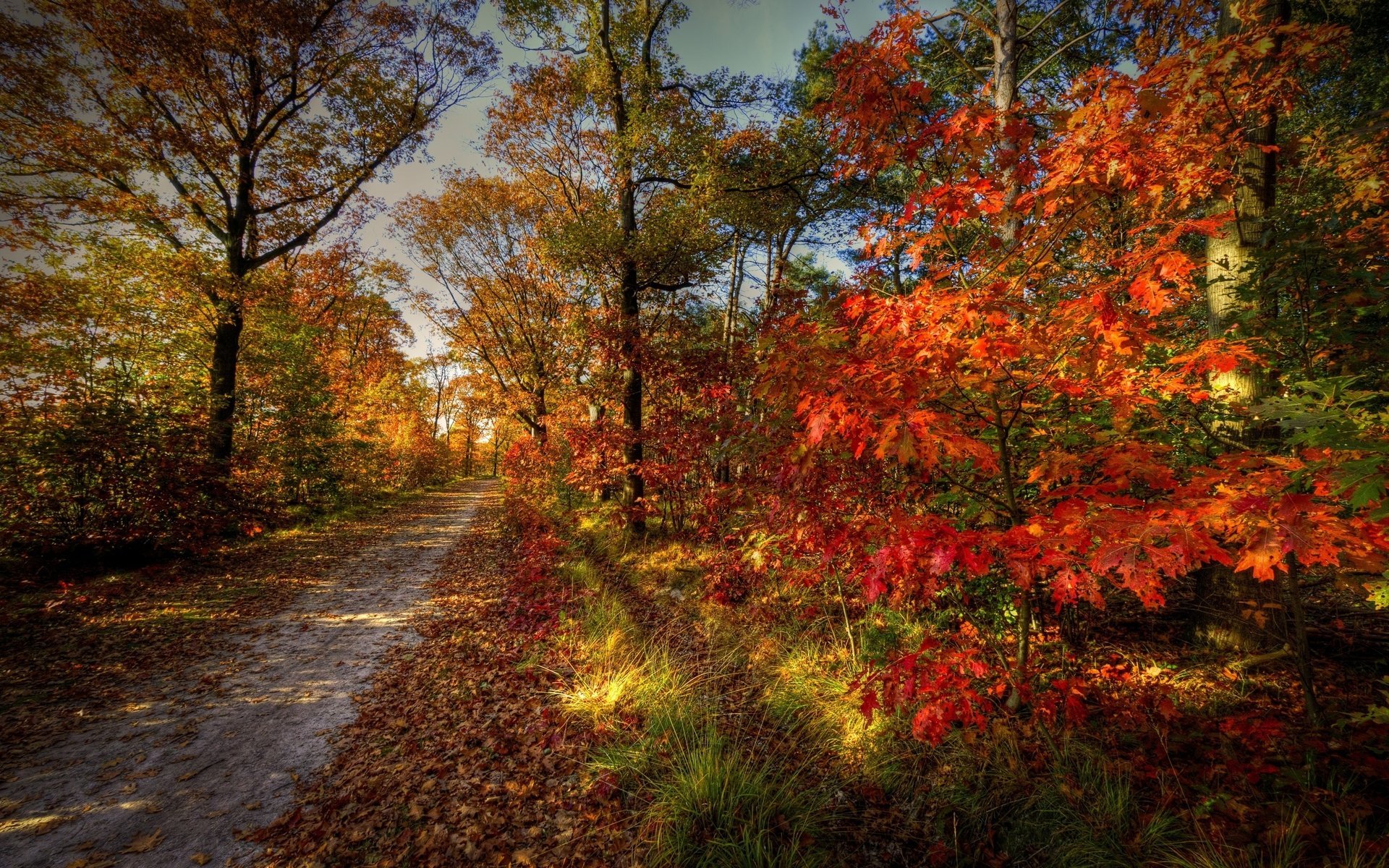 cielo paisaje naturaleza otoño carretera