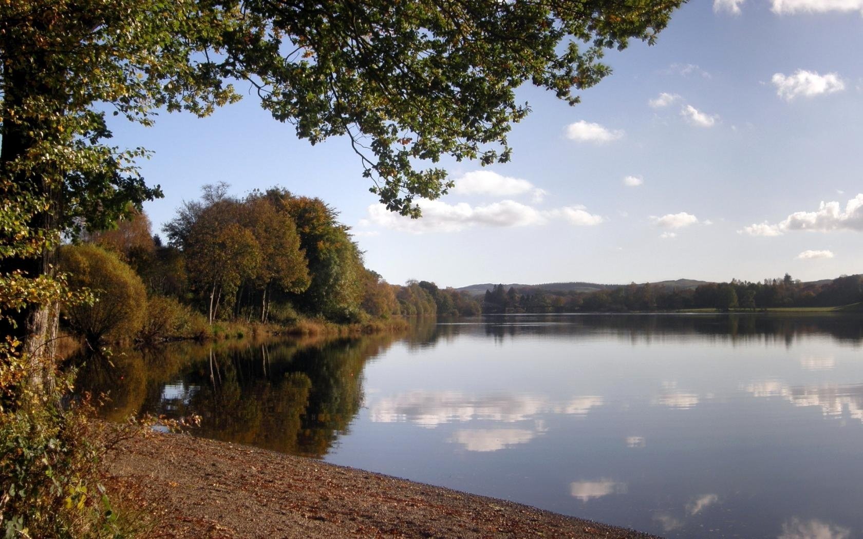 wald bäume wolken himmel herbst see