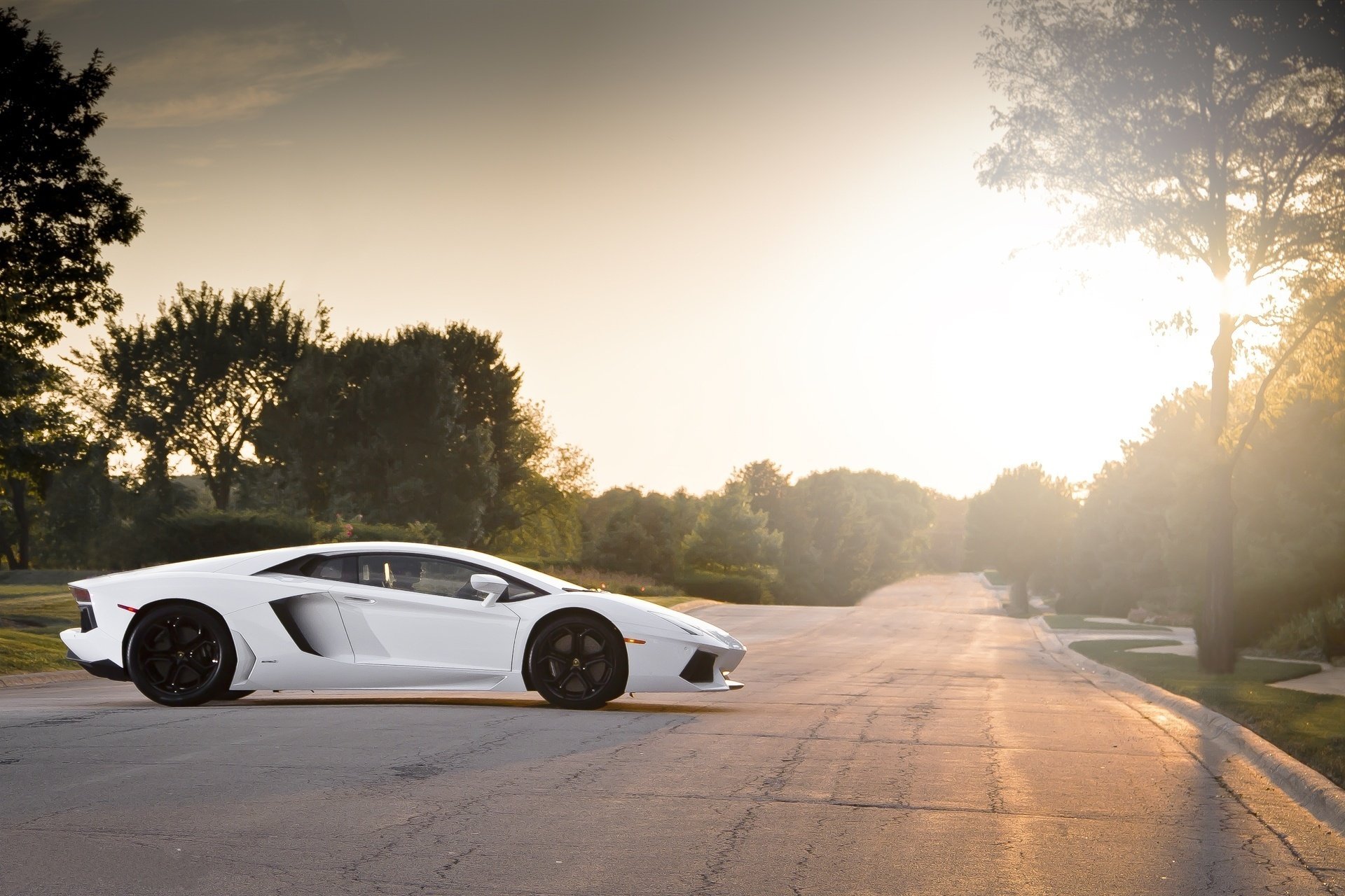 lamborghini lp700-4 white black aventador wheel