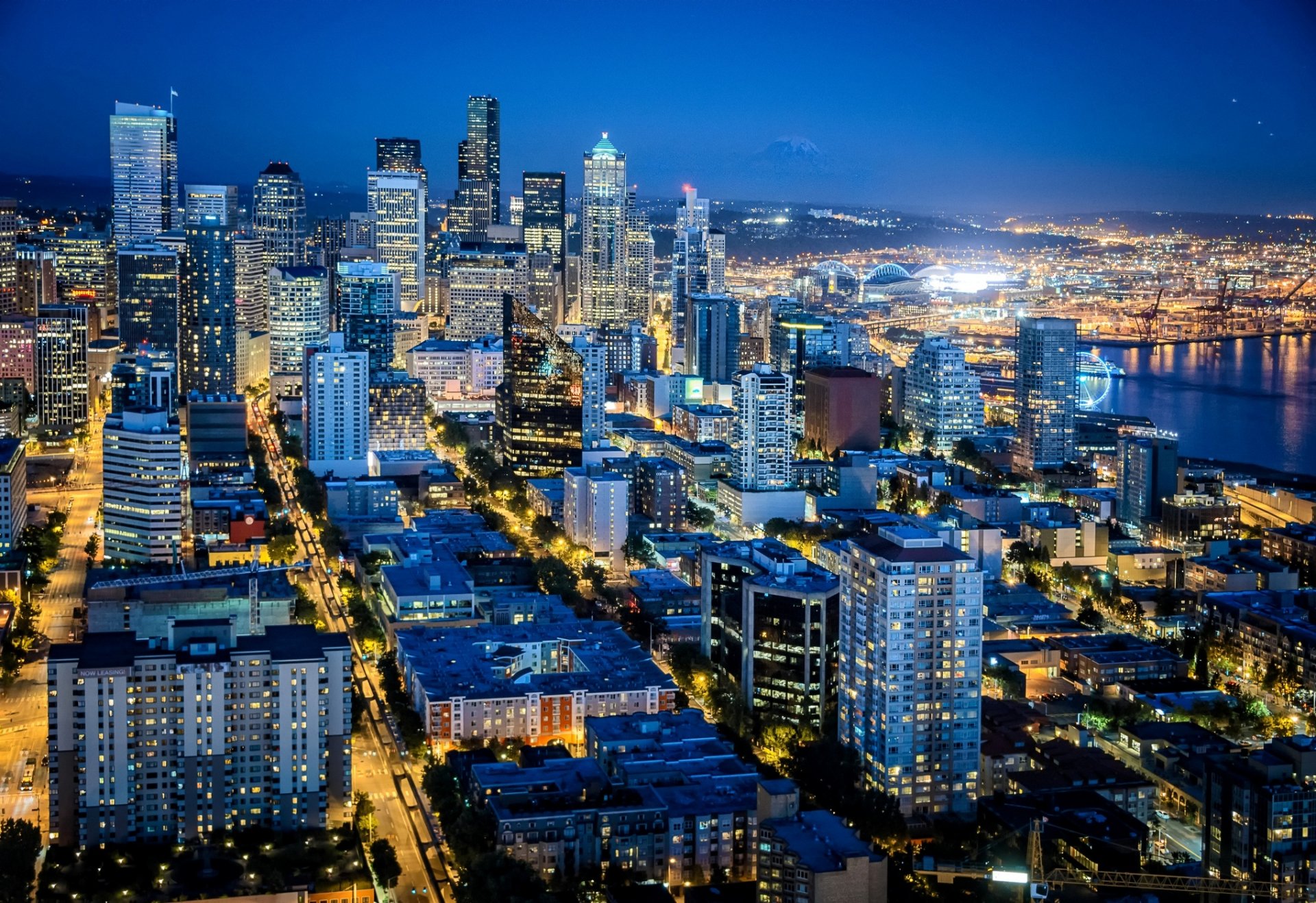 seattle washington stati uniti stati uniti città notte case grattacieli edifici grattacieli luci retroilluminazione strade