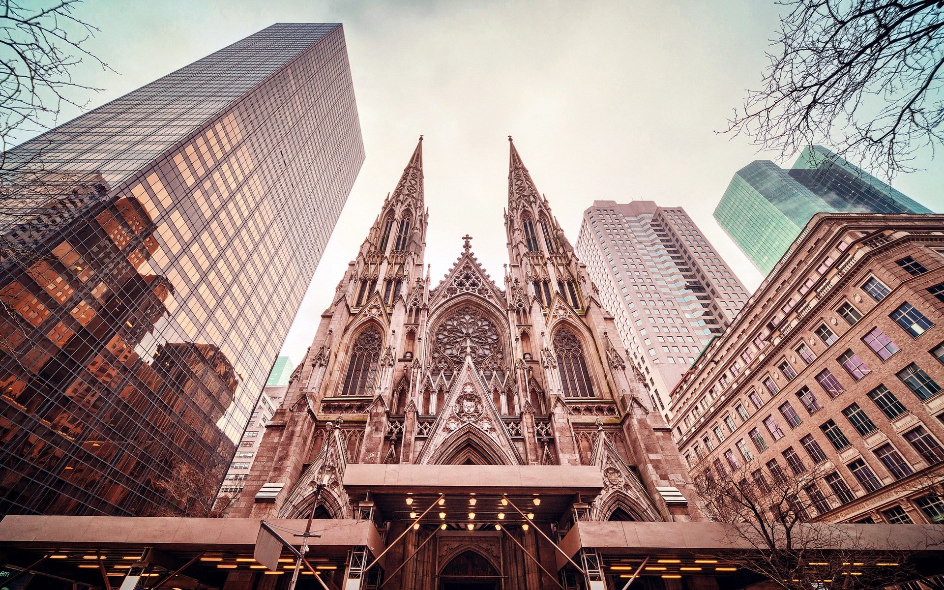 catedral de san patricio nueva york