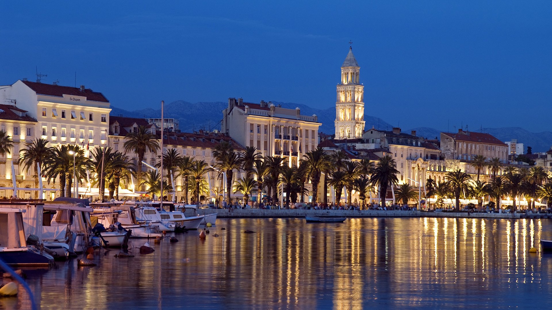 split chorwacja promenada zatoka łodzie łodzie budynki nocne miasto palmy