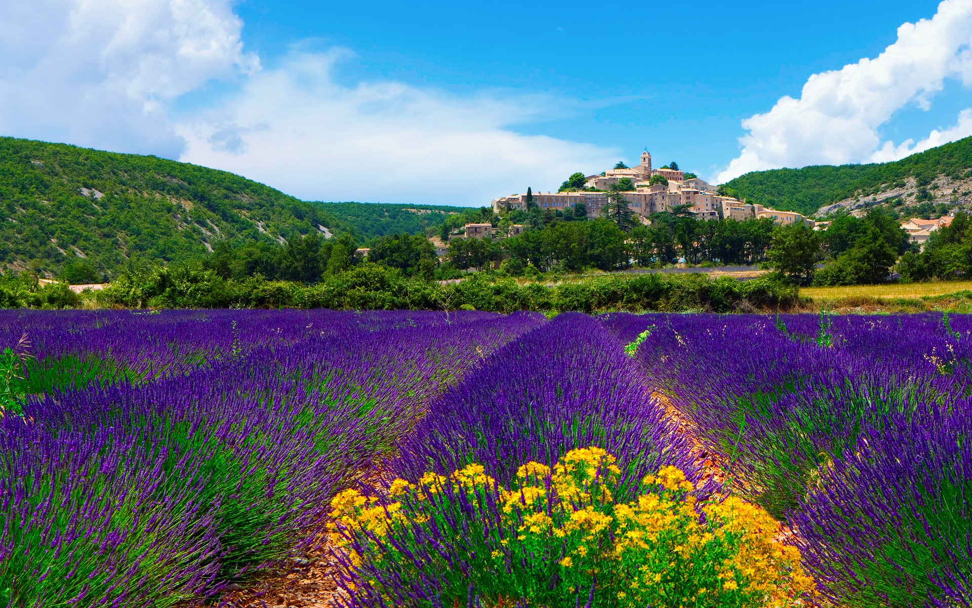 france town commune banon provence lavender of the field sky clouds roland gerth