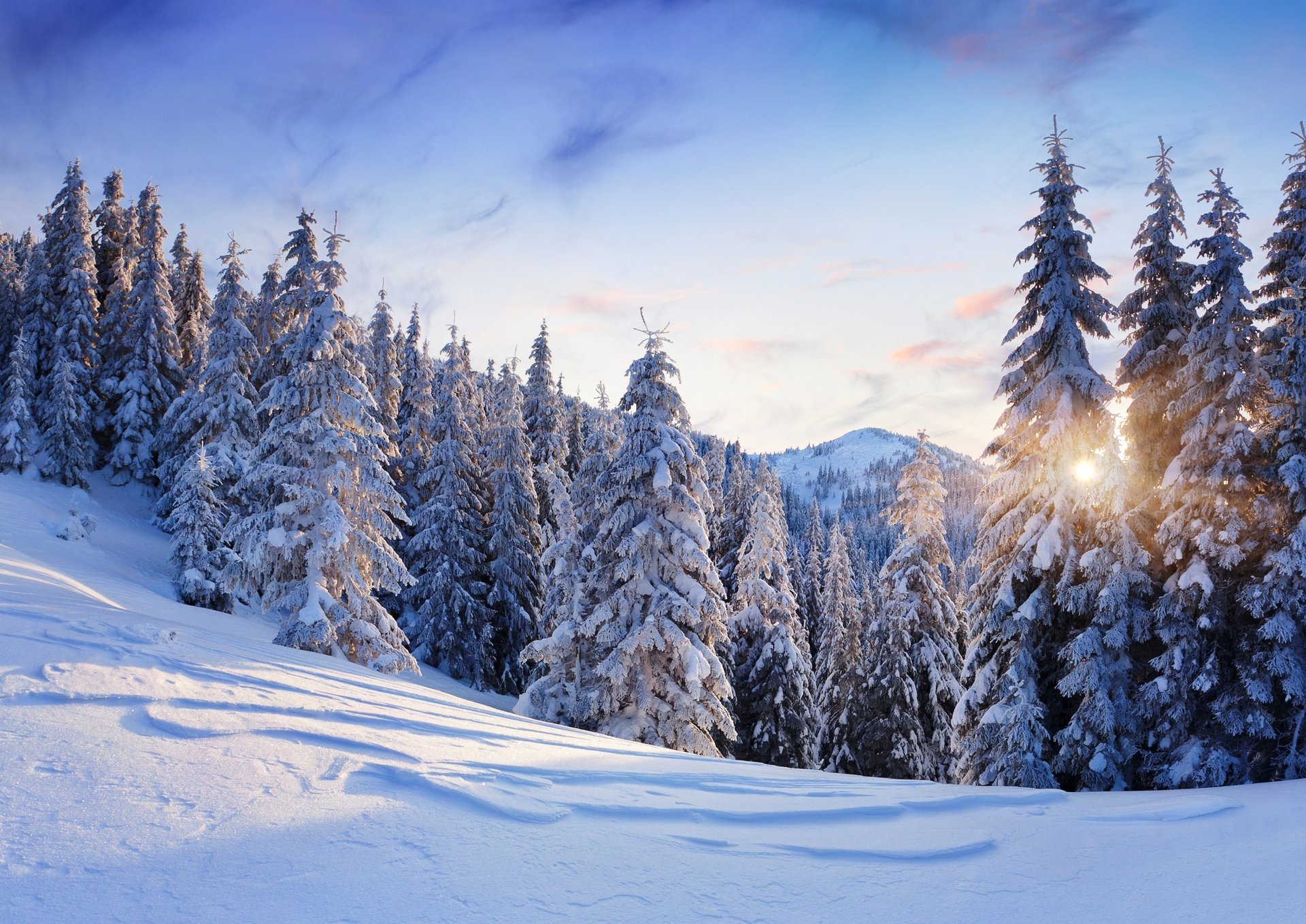 winter nature mountains snow tree