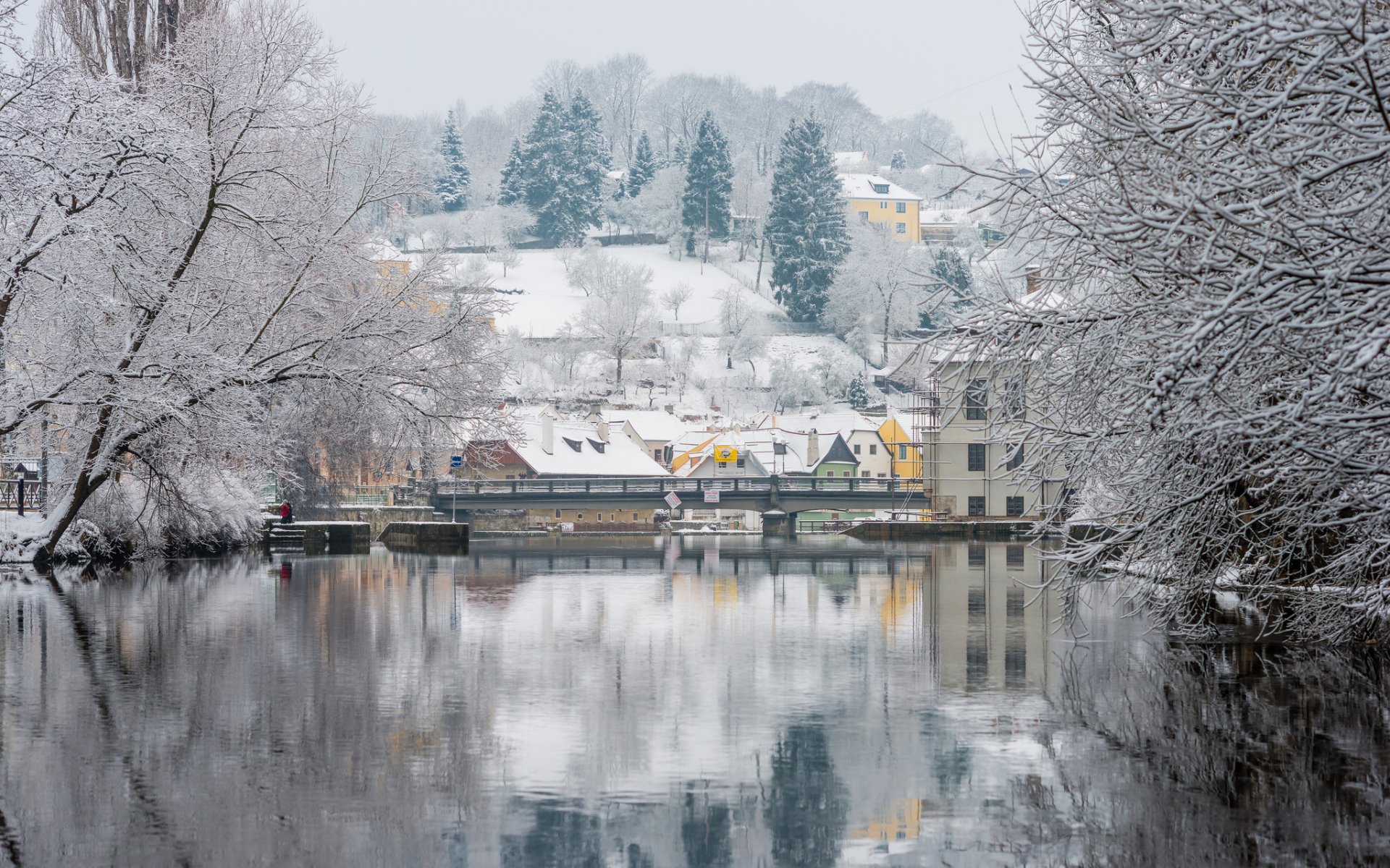 czech republic prague river vltava winter tree snow