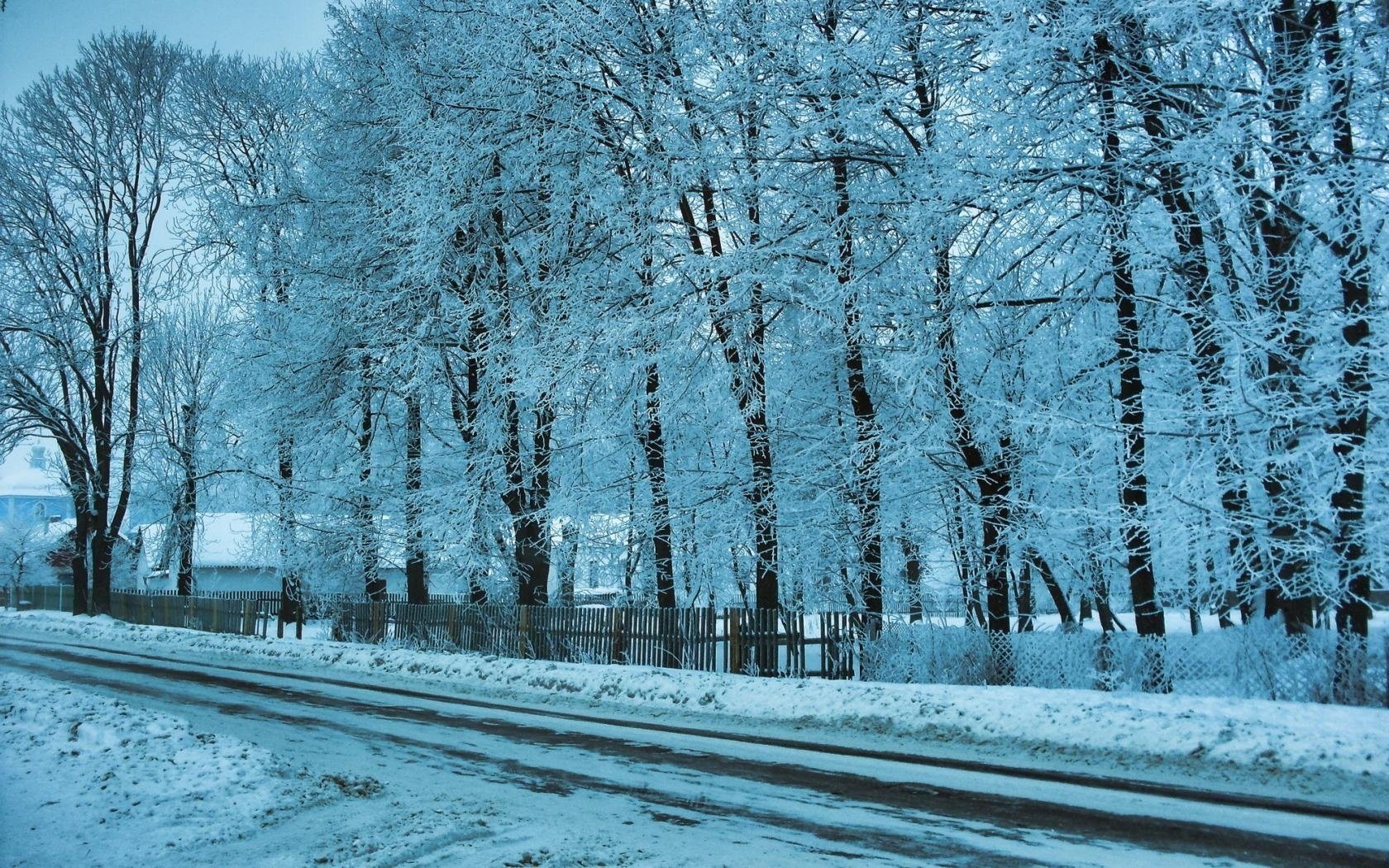 häuser straße bäume winter