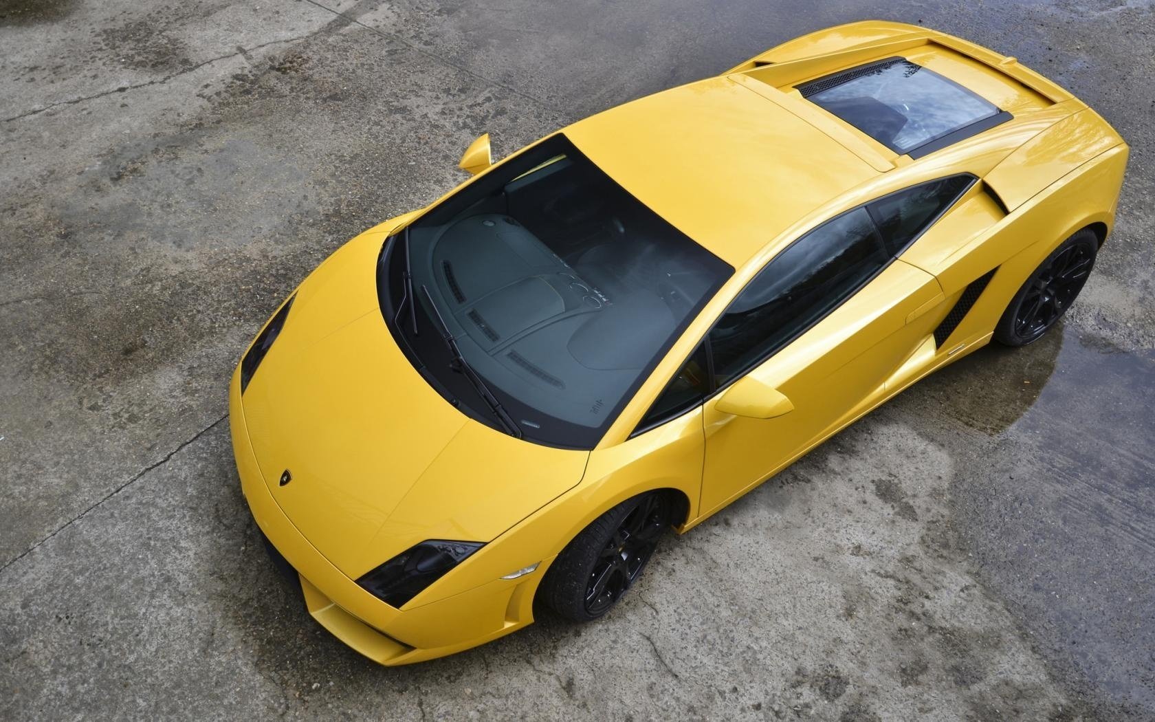 lamborghini lp560-4 lamborghini giallo gallardo