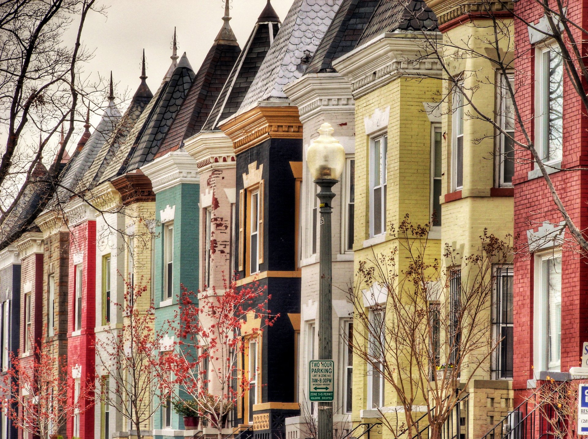 bloomingdale washington usa columbia street houses buildings roofs tiles windows lantern tree