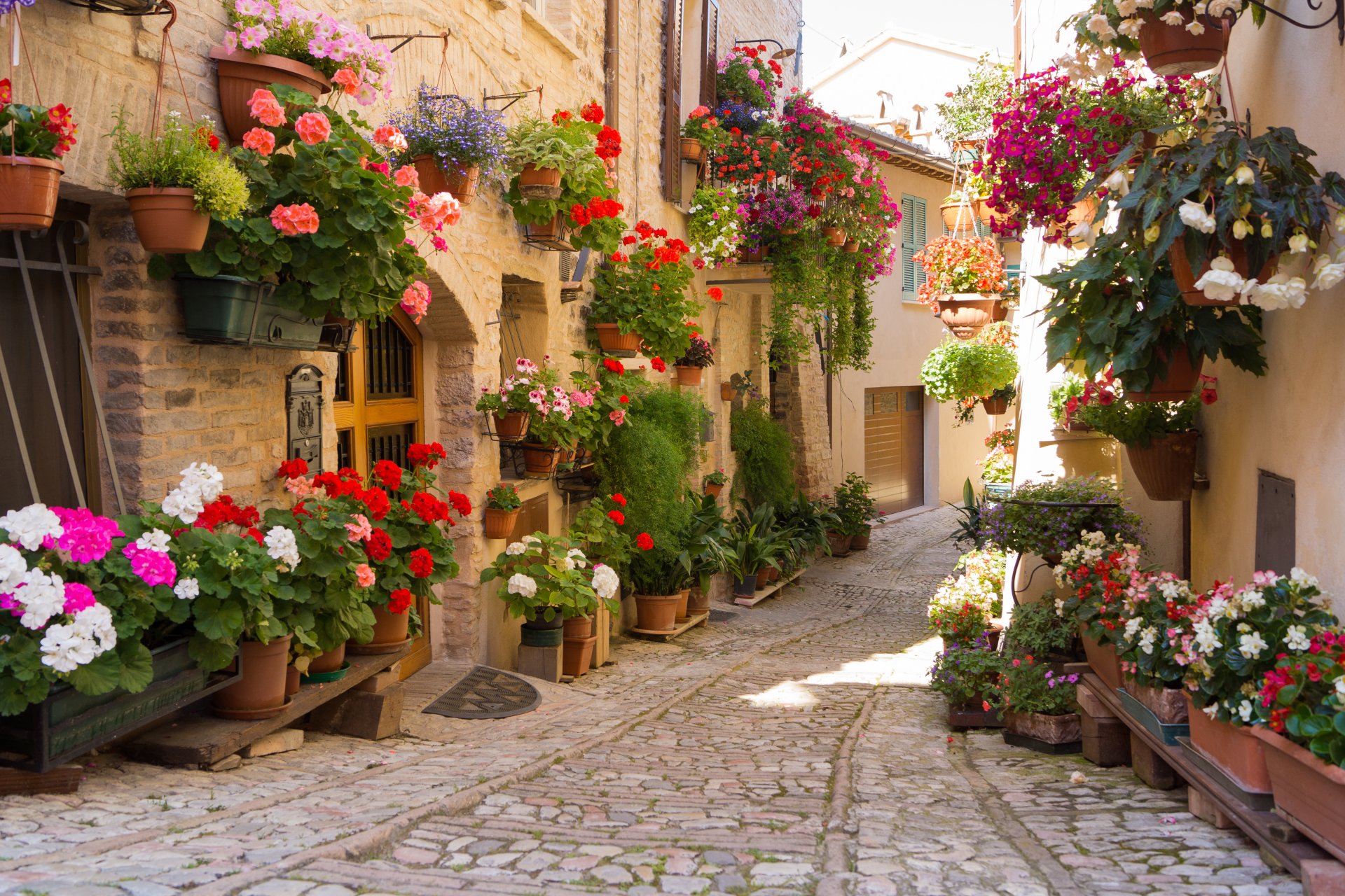 città fiori grecia