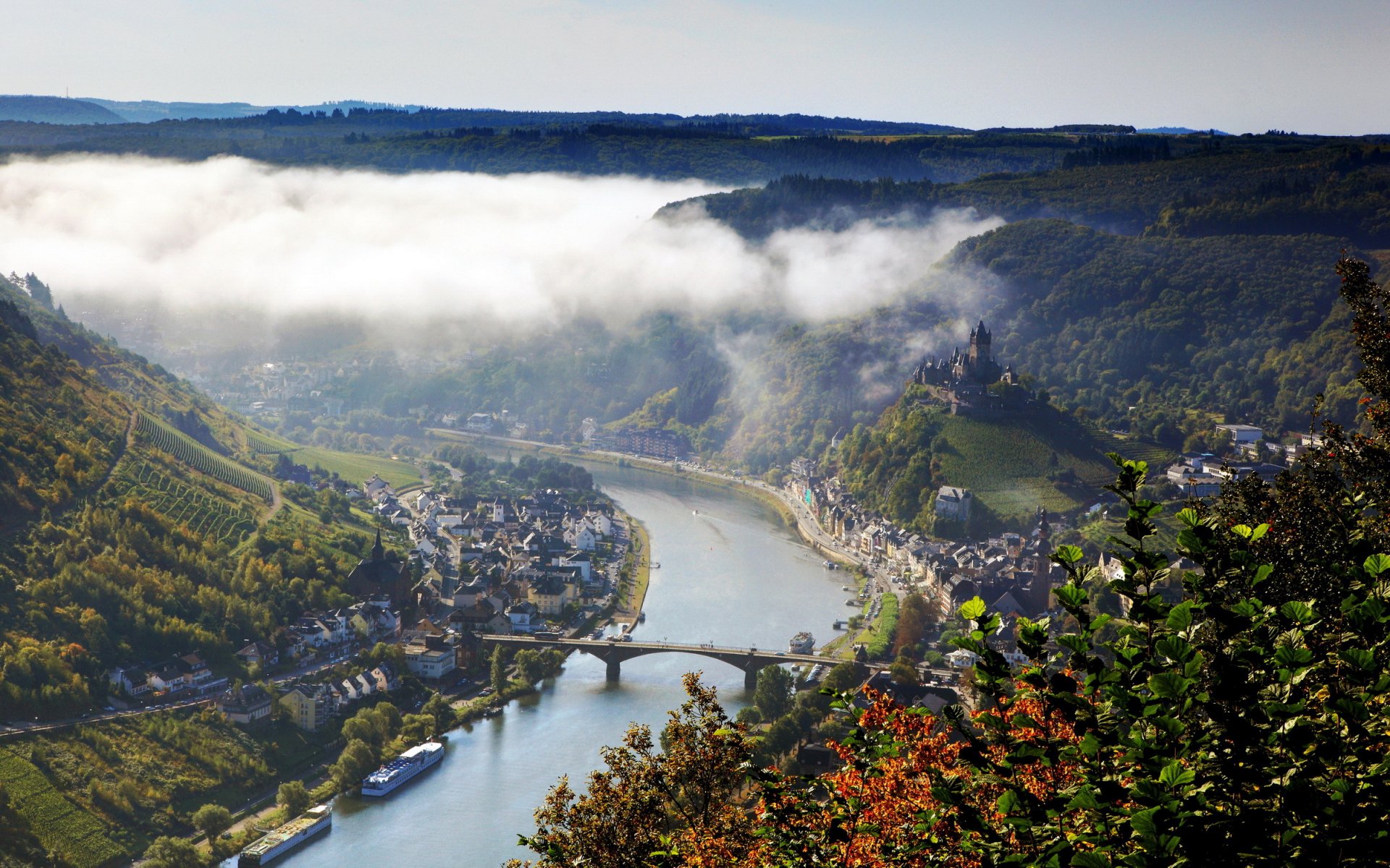 deutschland klotten dahl ansicht stadt fluss sommer wald nebel