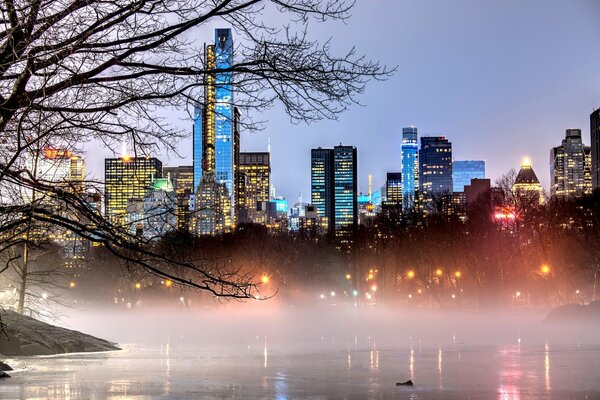 Fog in the park over Manhattan