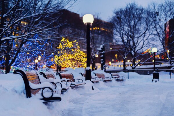 Bancos cubiertos de nieve en el parque de invierno por la noche