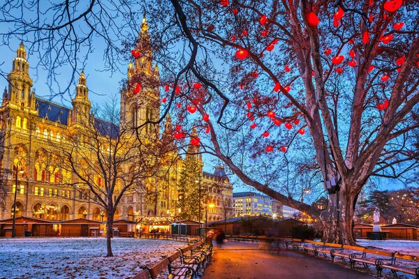 Baum am Palast am Winterabend