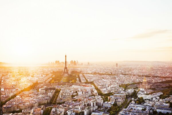 La tour Eiffel au soleil levant