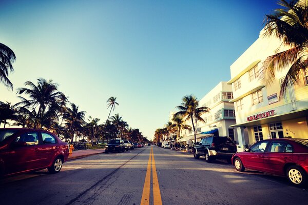 Miami City Street in der Palmengestaltung