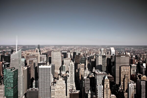 Winter rooftops State Building