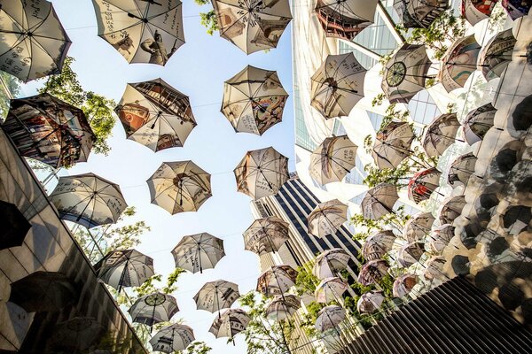 Beautiful sky made of umbrellas of different types