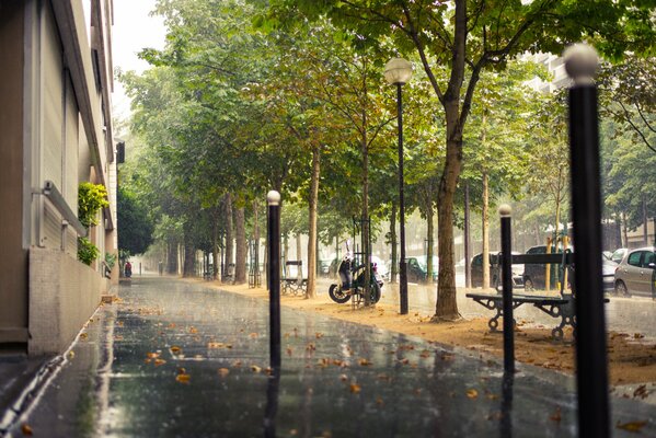 Regnerische Herbststraße in Paris