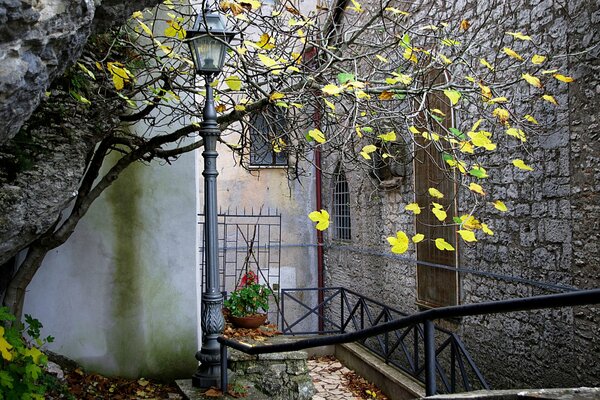 Patio con linterna y árbol en otoño