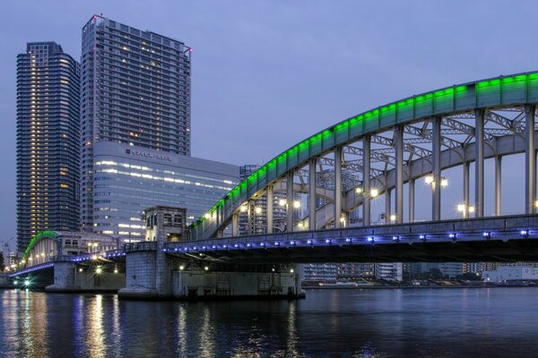 Pont des lanternes de Tokyo dans la baie