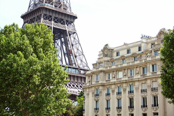 La Torre Eiffel dietro la casa e l albero