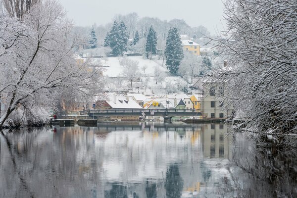 Winter Prague with trees in the snow