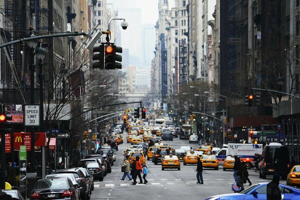 Morning foggy city of New York